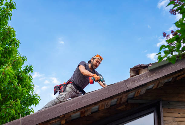 Reliable Zellwood, FL Roofing service Solutions